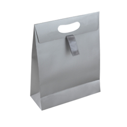 Medium Silver Paper Gift Bag